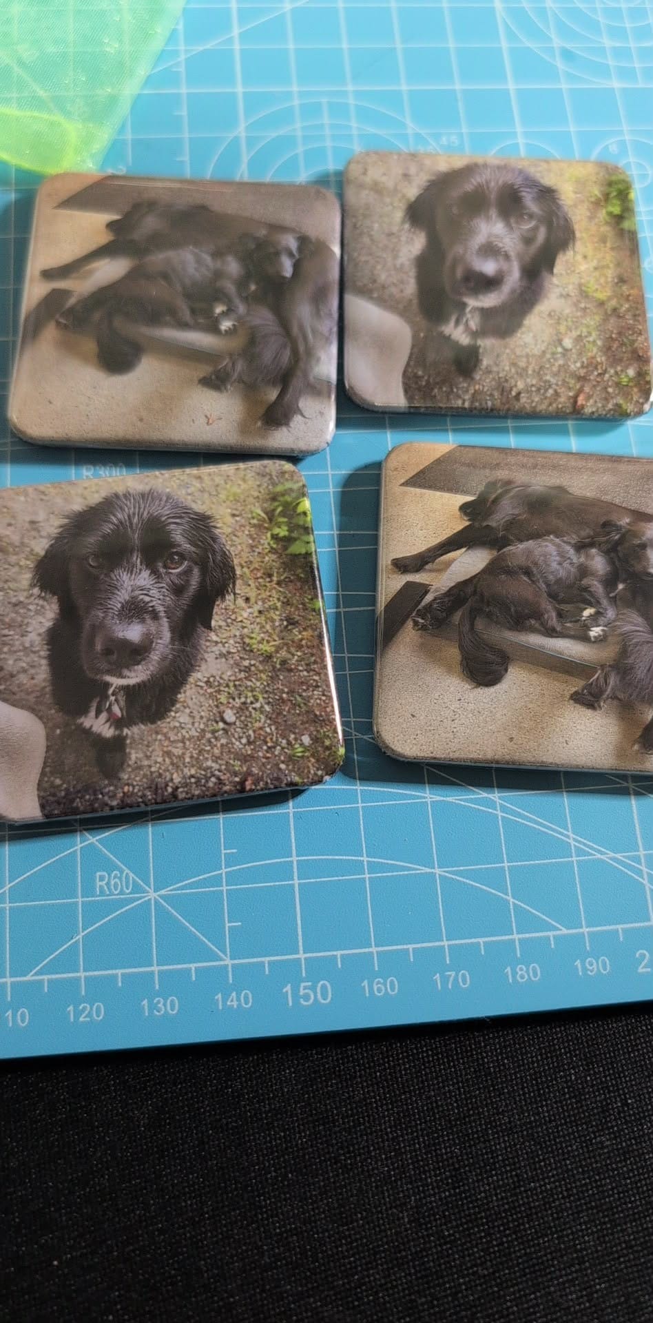 50mm (~2") Rounded Square Magnets